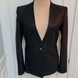 Helmu Lang Black Sheen Blazer - Iconic Fit